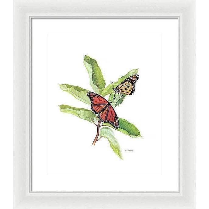 Monarch Butterflies - Framed Print | Artwork by Glen Loates