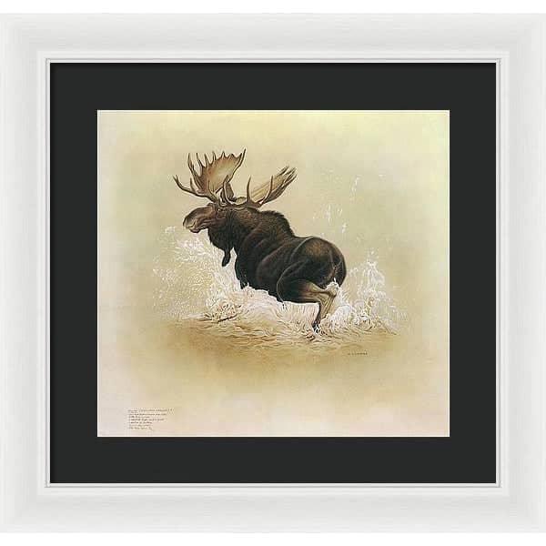 Moose - Framed Print | Artwork by Glen Loates
