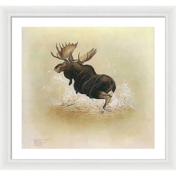 Moose - Framed Print | Artwork by Glen Loates