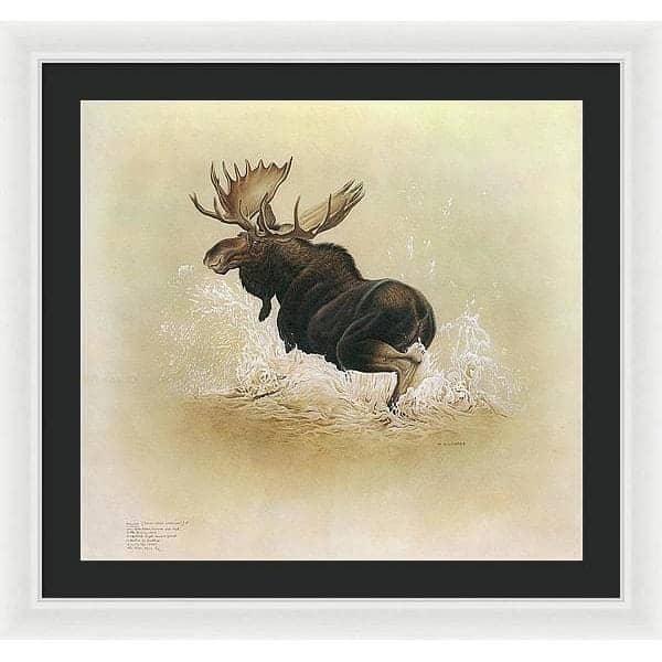 Moose - Framed Print | Artwork by Glen Loates
