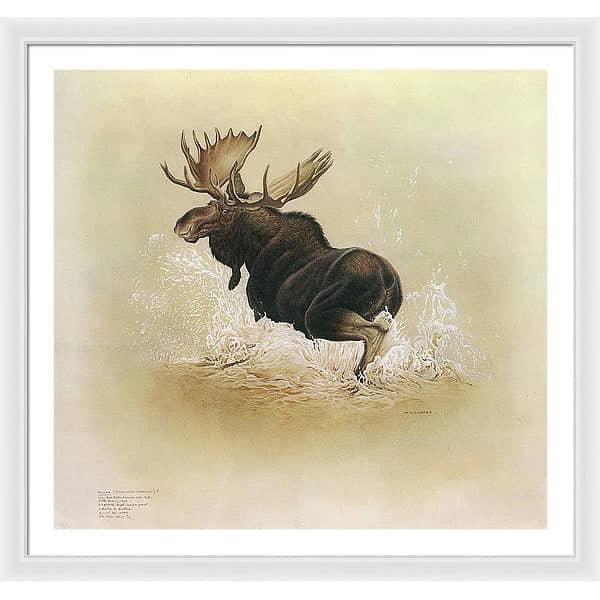 Moose - Framed Print | Artwork by Glen Loates