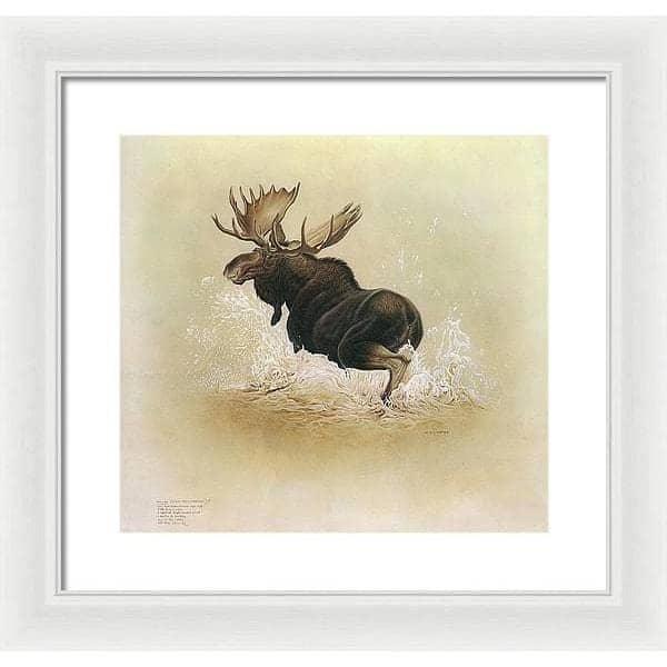 Moose - Framed Print | Artwork by Glen Loates
