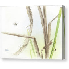 Gallery Canvas
