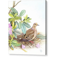 Gallery Canvas
