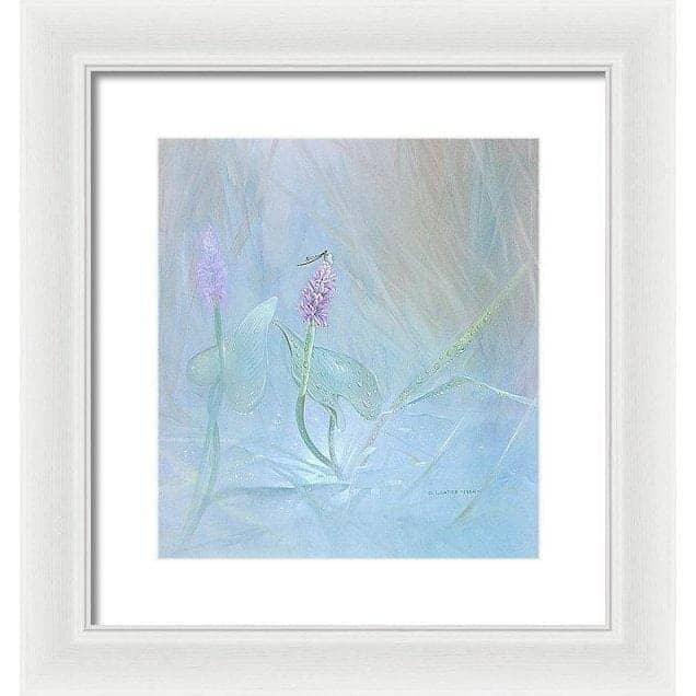 Pickerelweed - Framed Print | Artwork by Glen Loates