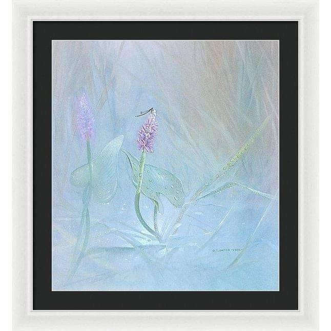 Pickerelweed - Framed Print | Artwork by Glen Loates