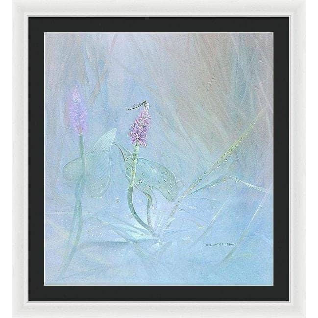 Pickerelweed - Framed Print | Artwork by Glen Loates