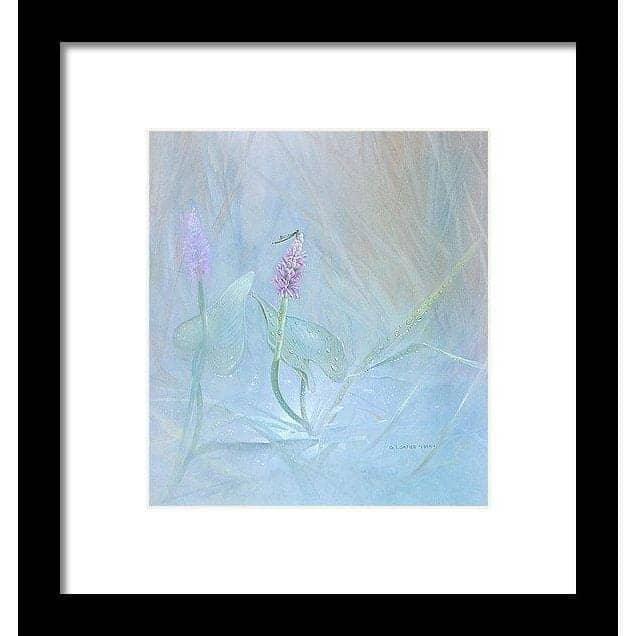 Pickerelweed - Framed Print | Artwork by Glen Loates