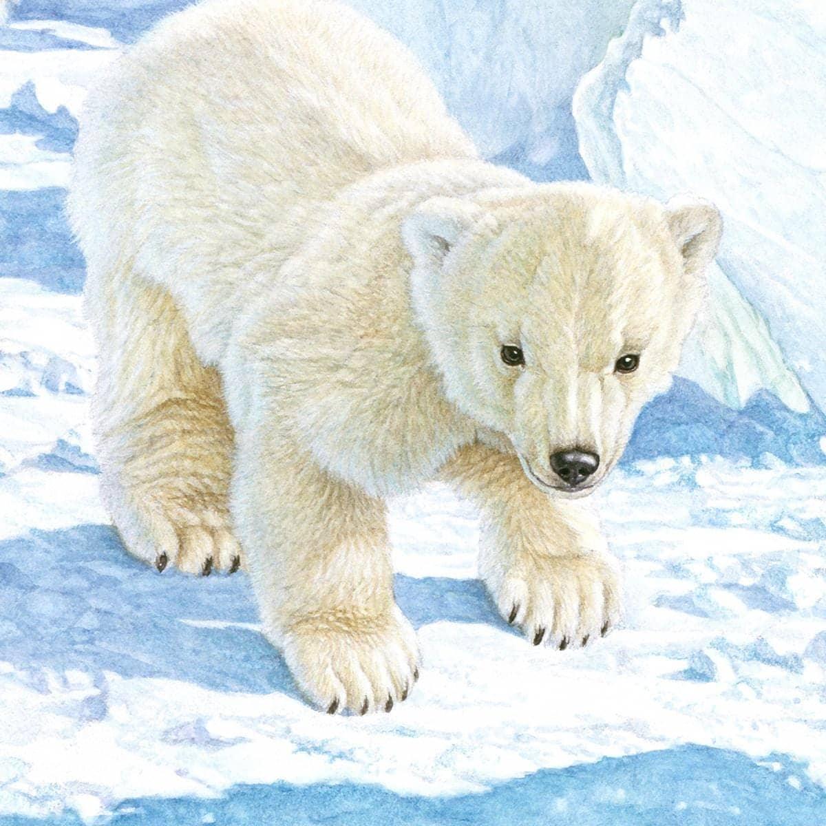 Polar Bear Cubs - Framed Print | Artwork by Glen Loates