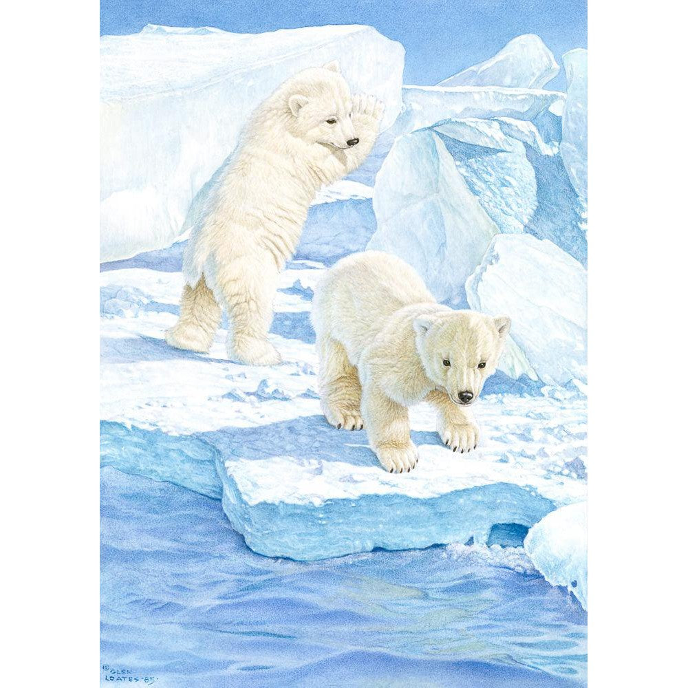 Polar Bear Cubs - Framed Print | Artwork by Glen Loates