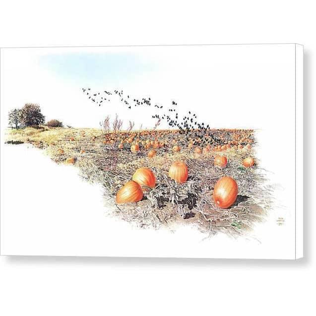 Pumpkin Patch by Glen Loates, gallery canvas: an autumn pumpkin field with a flock of blackbirds rising