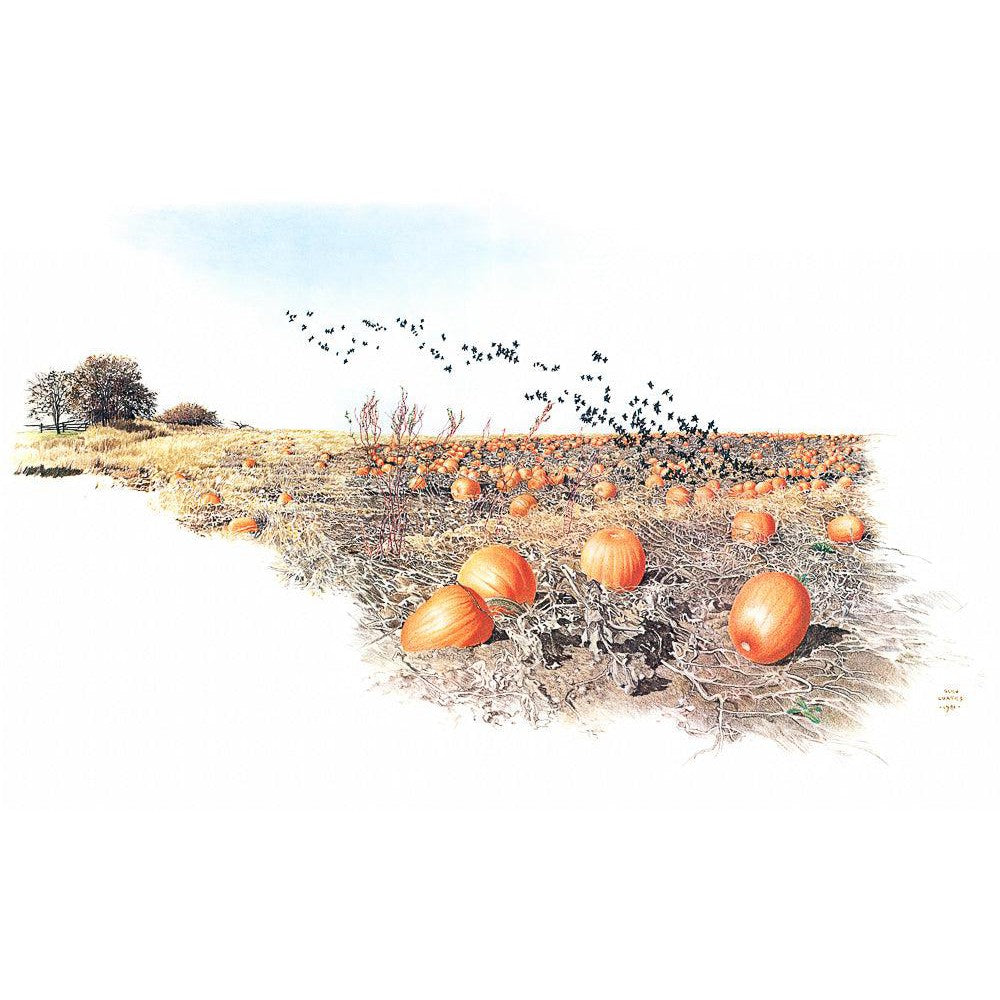 Pumpkin Patch - Canvas Print | Artwork by Glen Loates