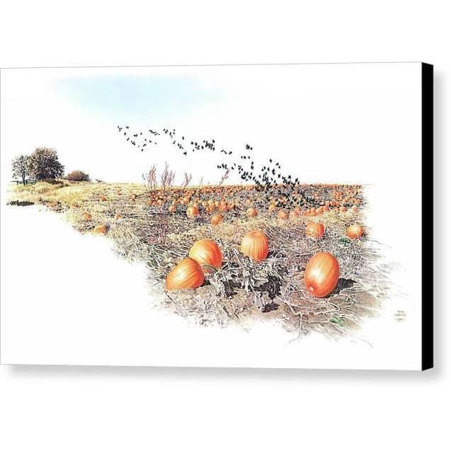 Pumpkin Patch by Glen Loates, gallery canvas with black wrapped edges