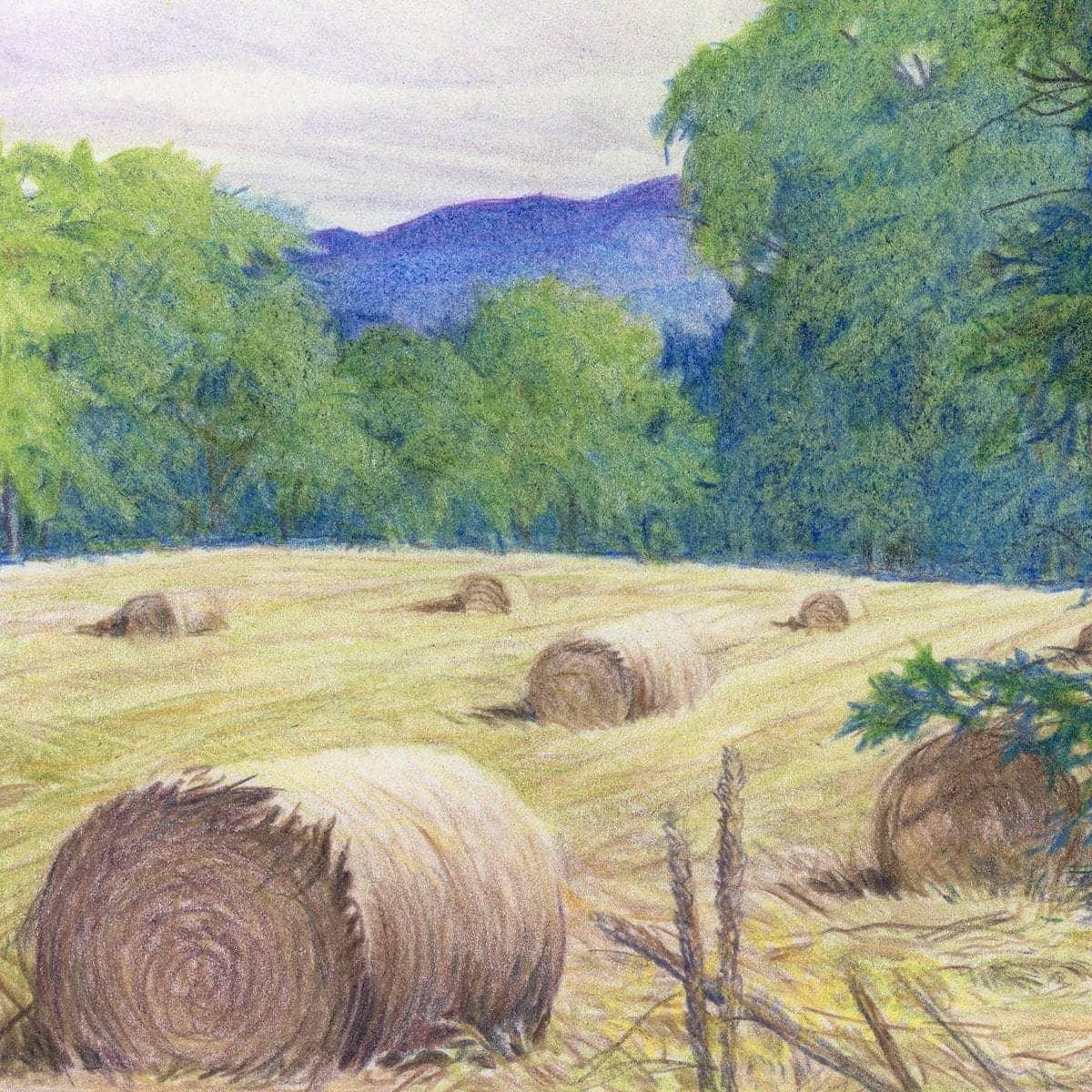 Purple Hills - Canvas Print | Artwork by Glen Loates