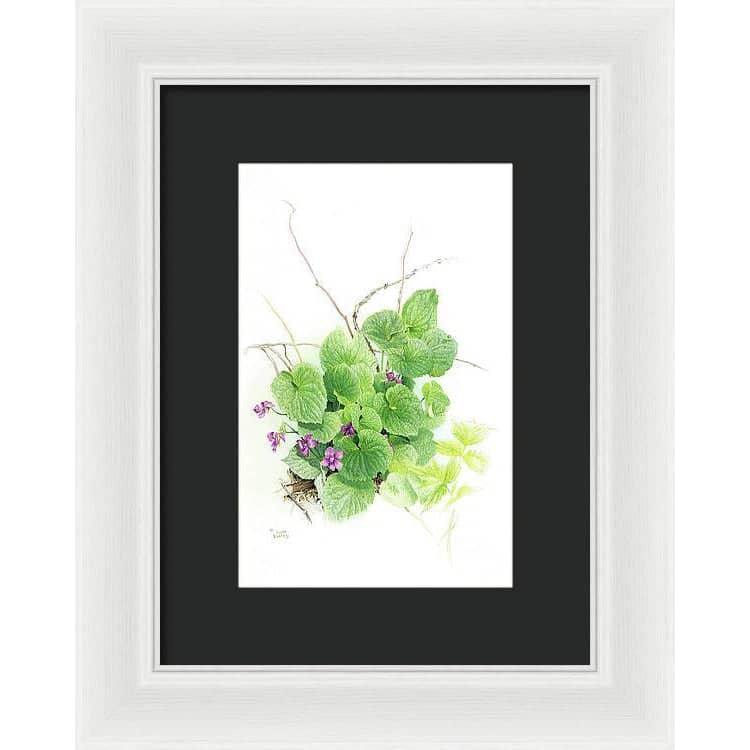 Purple Violets - Framed Print | Artwork by Glen Loates