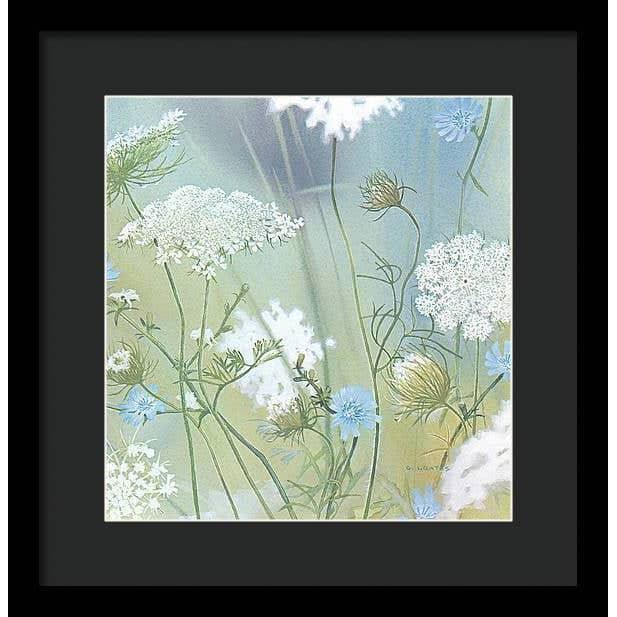 Queen Annes Lace - Framed Print | Artwork by Glen Loates