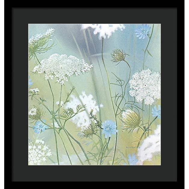 Queen Annes Lace - Framed Print | Artwork by Glen Loates