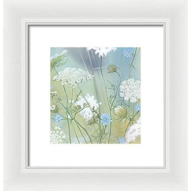 Queen Annes Lace - Framed Print | Artwork by Glen Loates