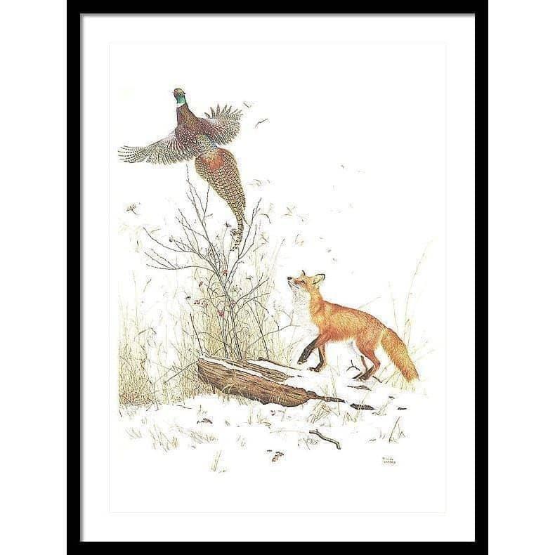 Red Fox and Ring-necked Pheasant - Framed Print | Artwork by Glen Loates