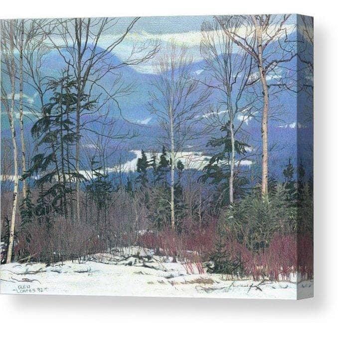 Saddleback - Canvas Print | Artwork by Glen Loates