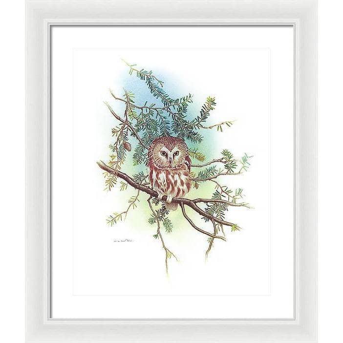 Saw-Whet Owl - Framed Print | Artwork by Glen Loates