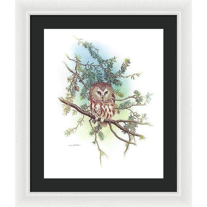 Saw-Whet Owl - Framed Print | Artwork by Glen Loates