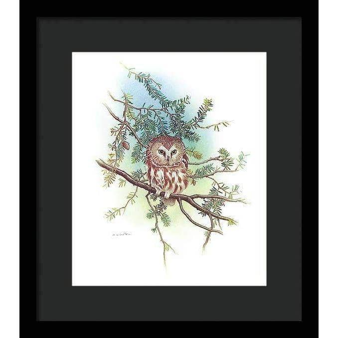 Saw-Whet Owl - Framed Print | Artwork by Glen Loates