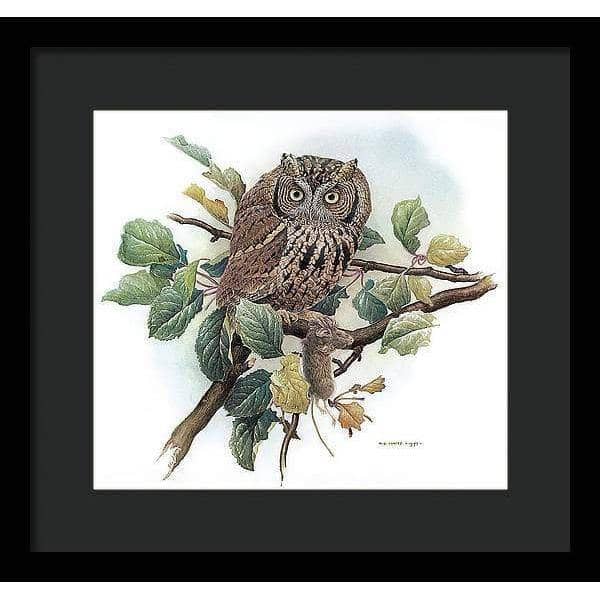 Screech Owl with Field Mouse - Framed Print | Artwork by Glen Loates