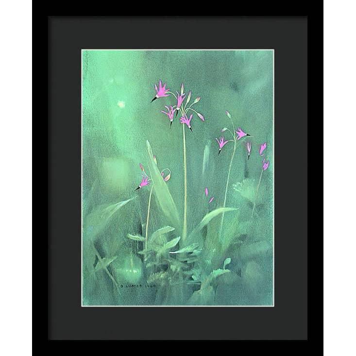 Shooting Stars - Framed Print | Artwork by Glen Loates