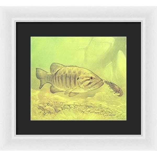 Small Mouth Bass Pursuing Crayfish - Framed Print | Artwork by Glen Loates
