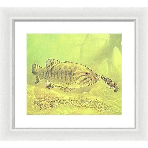 Small Mouth Bass Pursuing Crayfish - Framed Print | Artwork by Glen Loates