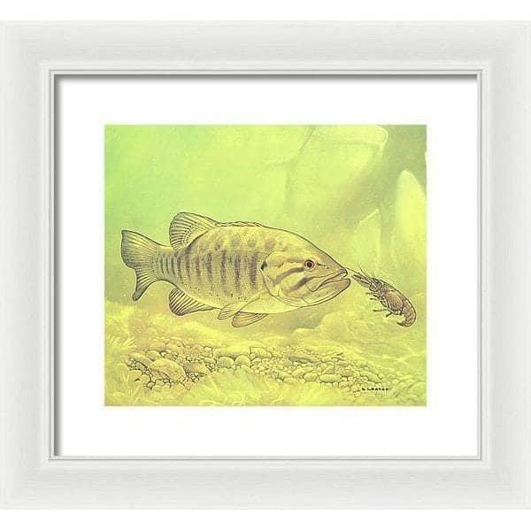 Small Mouth Bass Pursuing Crayfish - Framed Print | Artwork by Glen Loates