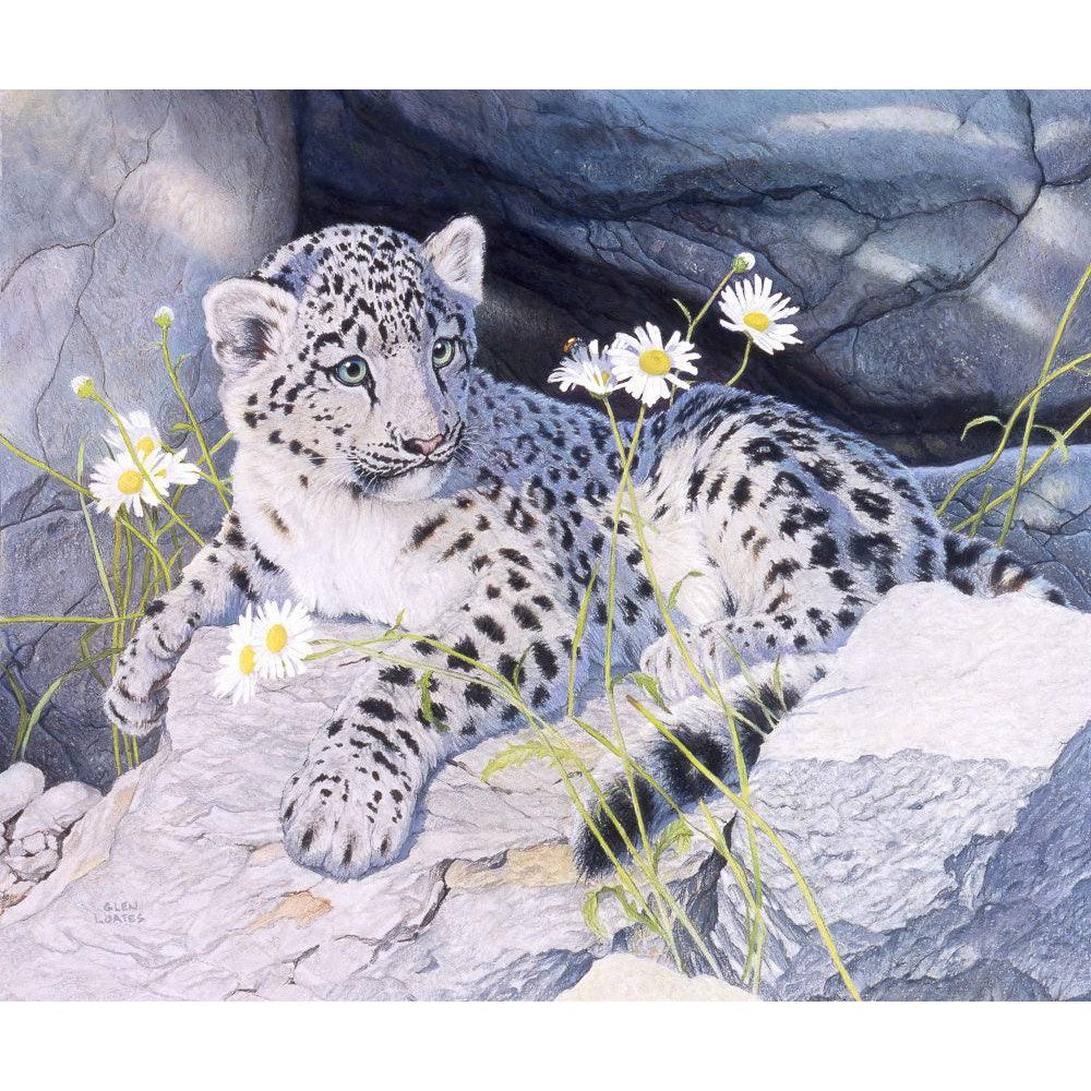 Snow Leopard Cub - Framed Print | Artwork by Glen Loates