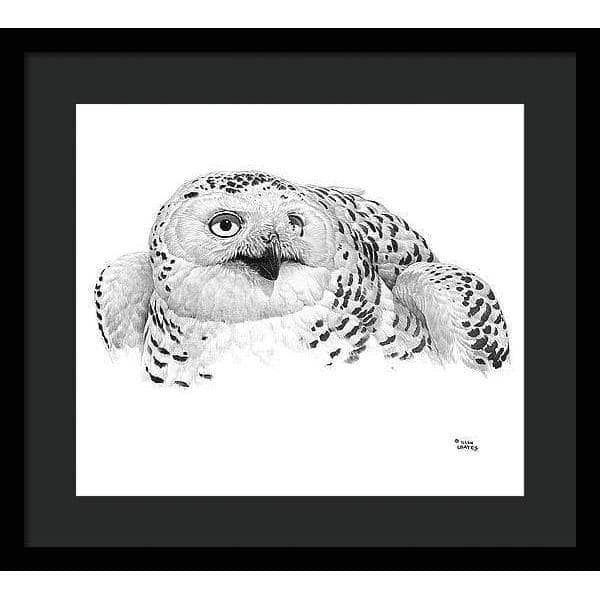 Snowy Owl Portrait - Framed Print | Artwork by Glen Loates