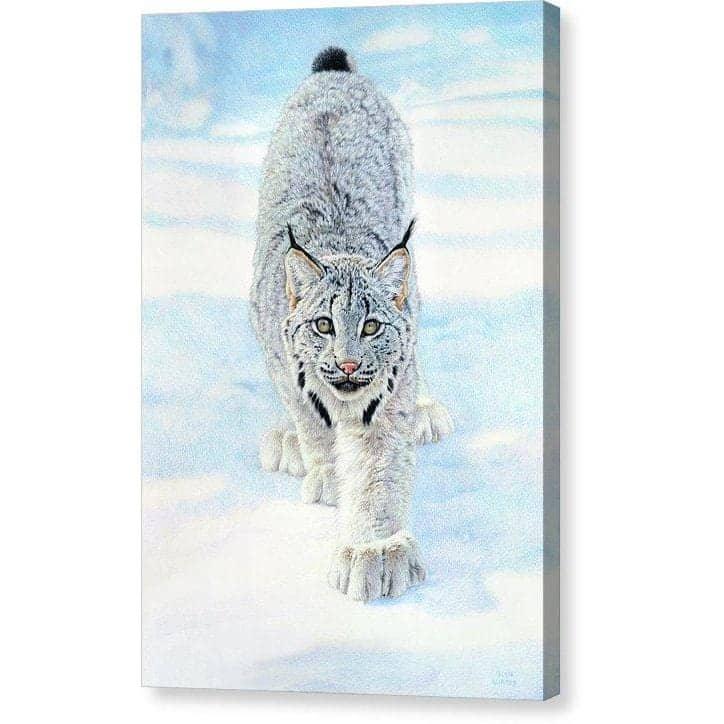 Stalking Lynx - Canvas Print | Artwork by Glen Loates