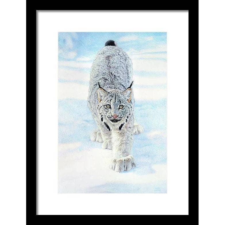 Stalking Lynx - Framed Print | Artwork by Glen Loates