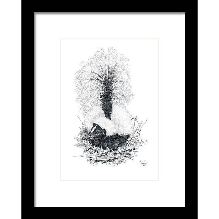 Striped Skunk - Framed Print | Artwork by Glen Loates
