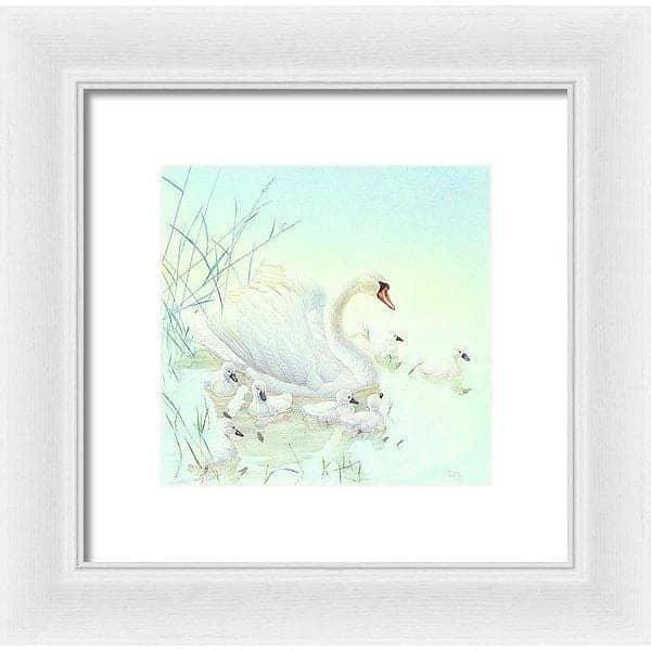 Swan Family - Framed Print | Artwork by Glen Loates