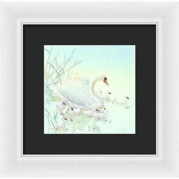 Swan Family - Framed Print | Artwork by Glen Loates