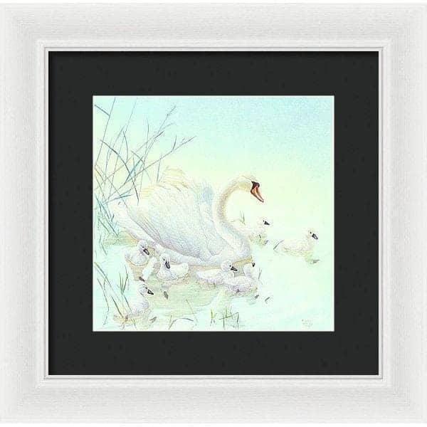 Swan Family - Framed Print | Artwork by Glen Loates