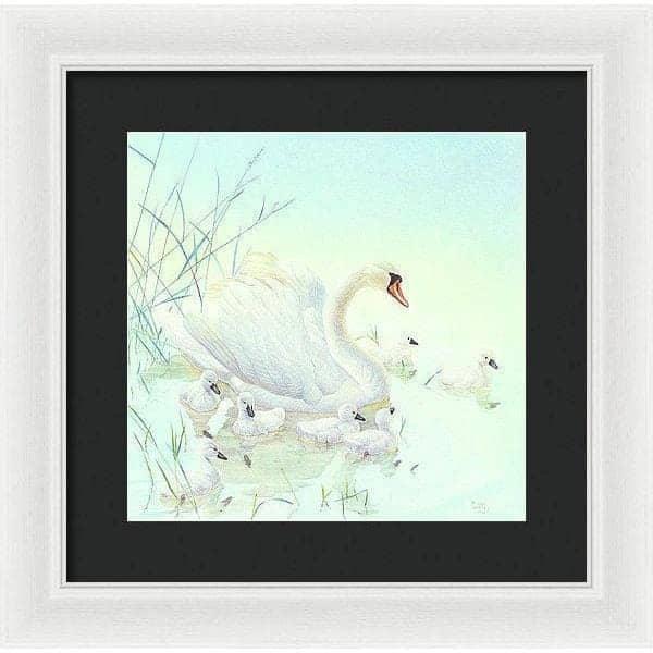 Swan Family - Framed Print | Artwork by Glen Loates