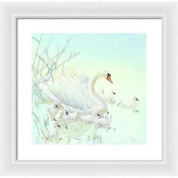 Swan Family - Framed Print | Artwork by Glen Loates