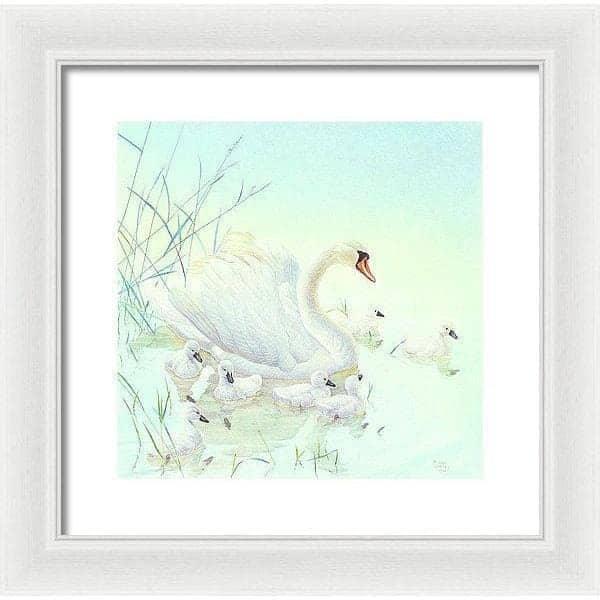 Swan Family - Framed Print | Artwork by Glen Loates
