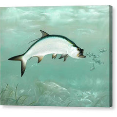 Gallery Canvas