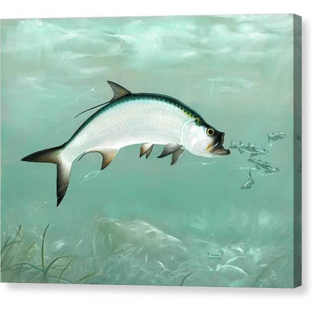 Tarpon - Canvas Print | Artwork by Glen Loates