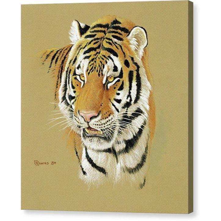 Tiger Portrait - Canvas Print | Artwork by Glen Loates