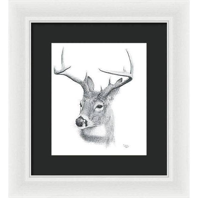 White-tailed Deer Portrait - Framed Print | Artwork by Glen Loates