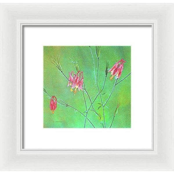 Wild Columbine - Framed Print | Artwork by Glen Loates