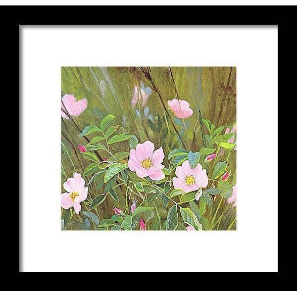 Wild Roses - Framed Print | Artwork by Glen Loates