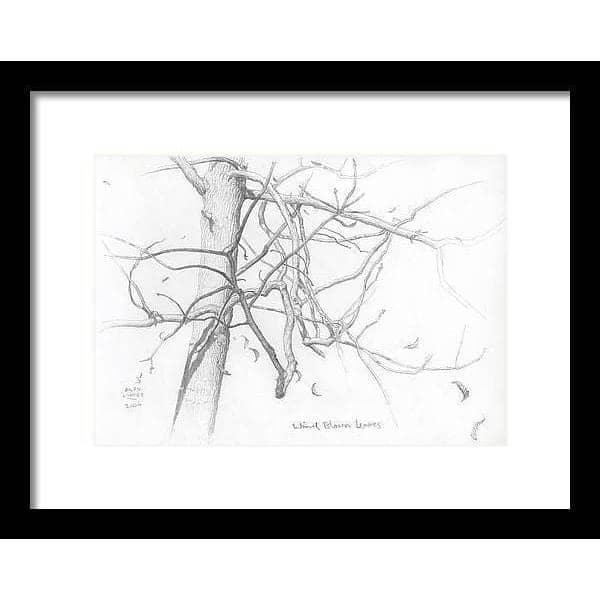 Wind Blown Leaves - Framed Print | Artwork by Glen Loates
